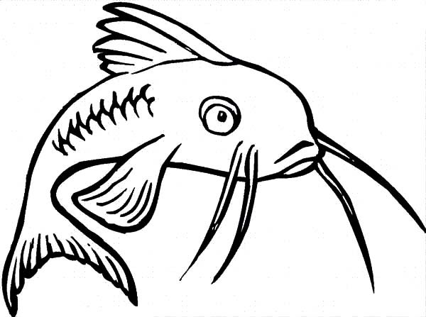Catfish Feeling Bored Coloring Pages Catfish Feeling Bored 600x447 Catfish Feeling Bored Coloring Pages Catfish Feeling Bored