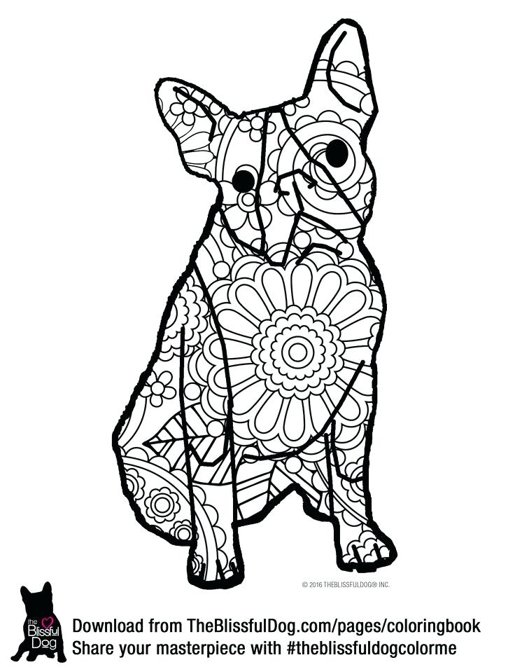 Coloring Boston Terrier Coloring Pages Free 736x952 Coloring Boston Terrier Coloring Pages Free