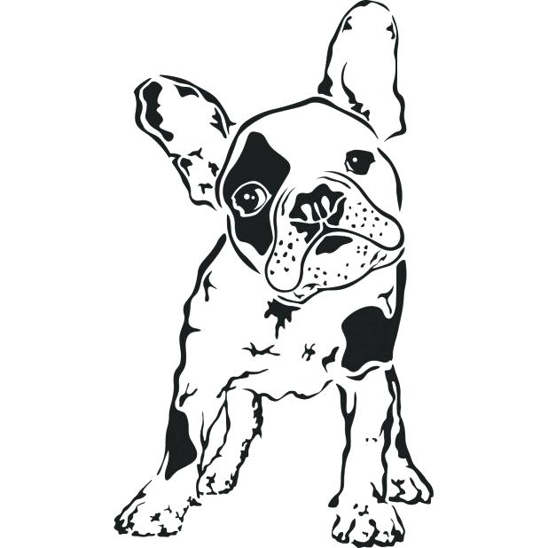 Boston Terrier Coloring Pages Plus Bulldog 955 618x618 Boston Terrier Coloring Pages Plus Bulldog 955