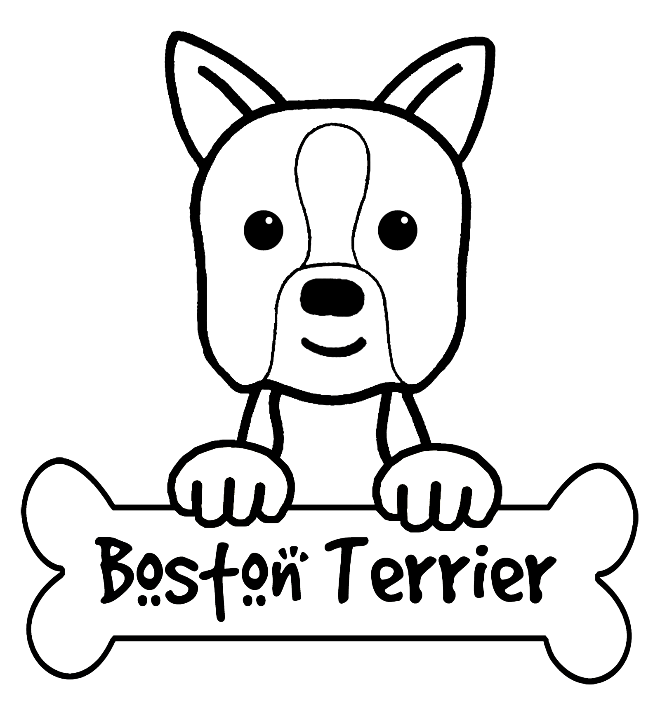 Boston Terrier Coloring Page Boston Terriers Are Happy 660x705 Boston Terrier Coloring Page Boston Terriers Are Happy
