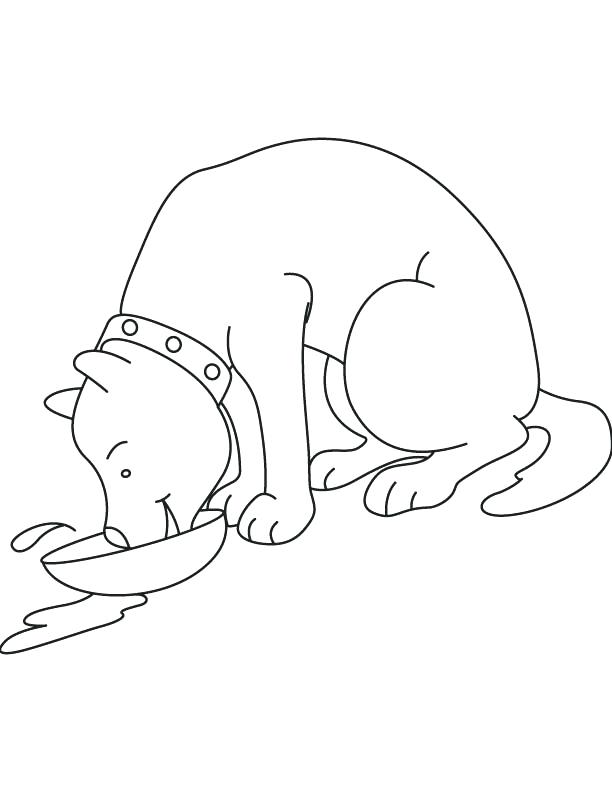 Milk Coloring Page Dog Drinking Milk Coloring Page Download Free 612x792 Milk Coloring Page Dog Drinking Milk Coloring Page Download Free