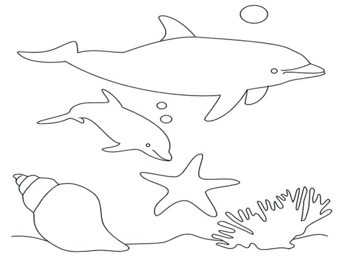 Bottlenose Dolphin Coloring Page Dolphin Coloring Page Coloring 700x525 Bottlenose Dolphin Coloring Page Dolphin Coloring Page Coloring