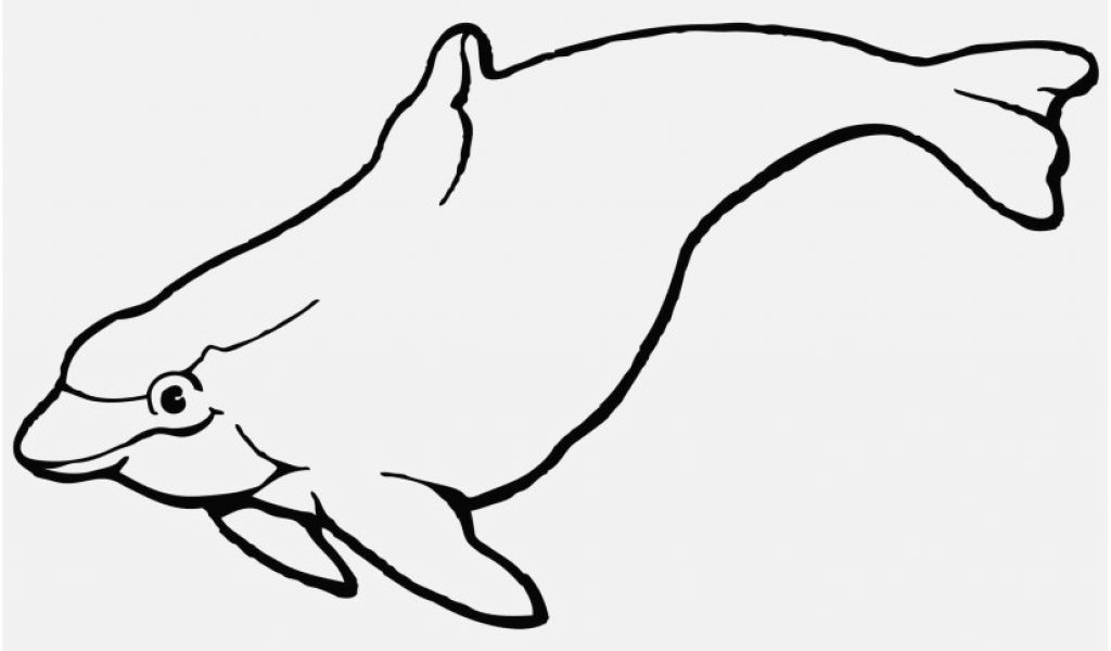 Dolphin Coloring Pages Design Dolphins Coloring Pages 1024x600 Dolphin Coloring Pages Design Dolphins Coloring Pages
