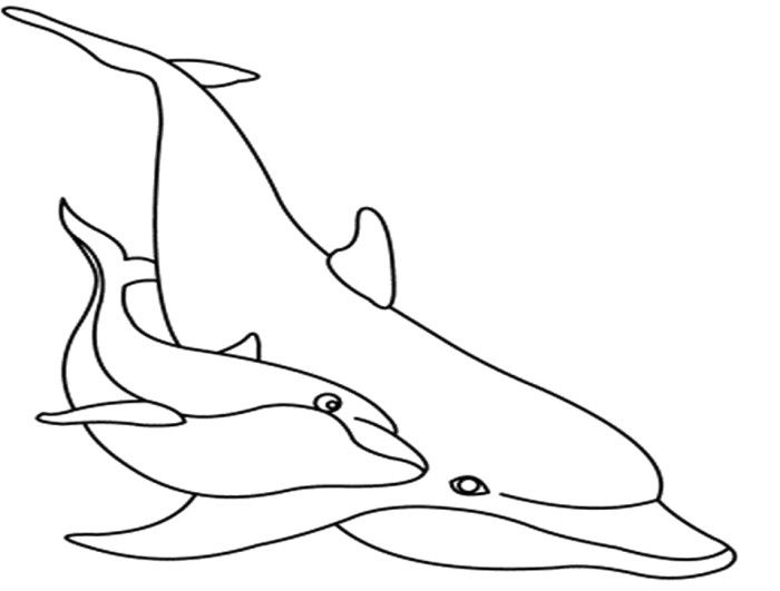 Dolphin The Fish And Son Coloring Pages 700x531 Dolphin The Fish And Son Coloring Pages