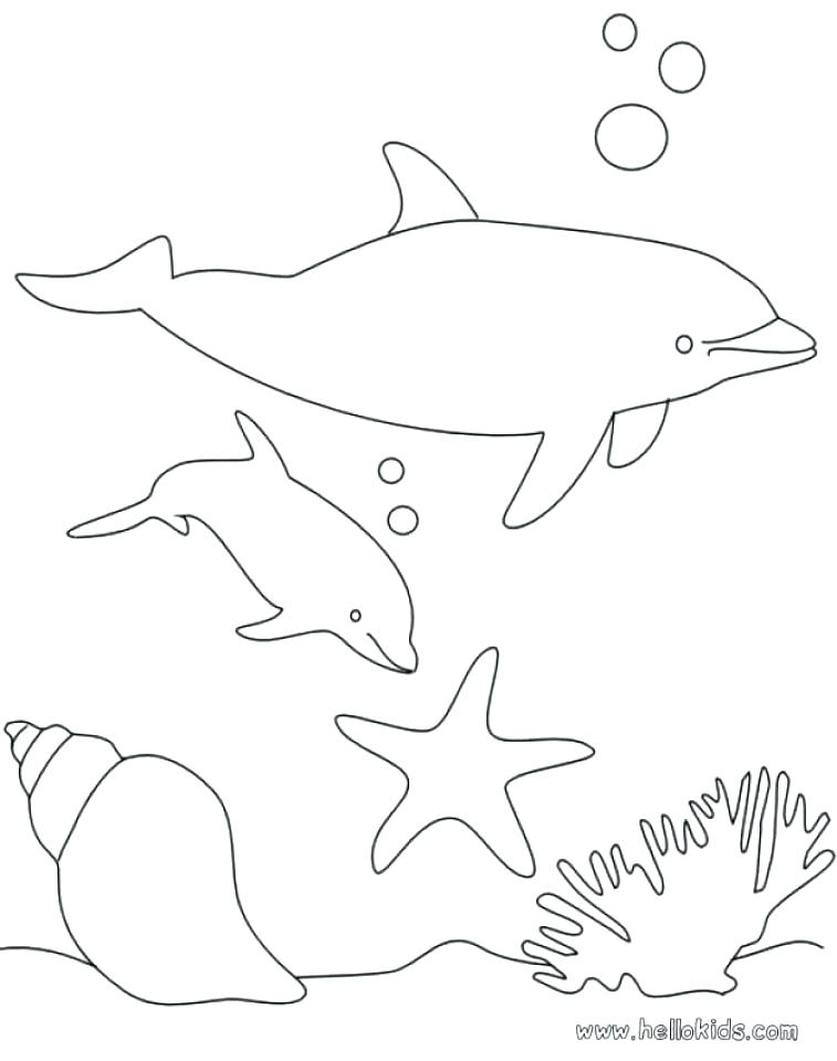 Dolphins Coloring Pages Cute Dolphin Coloring Pages Playful 757x960 Dolphins Coloring Pages Cute Dolphin Coloring Pages Playful