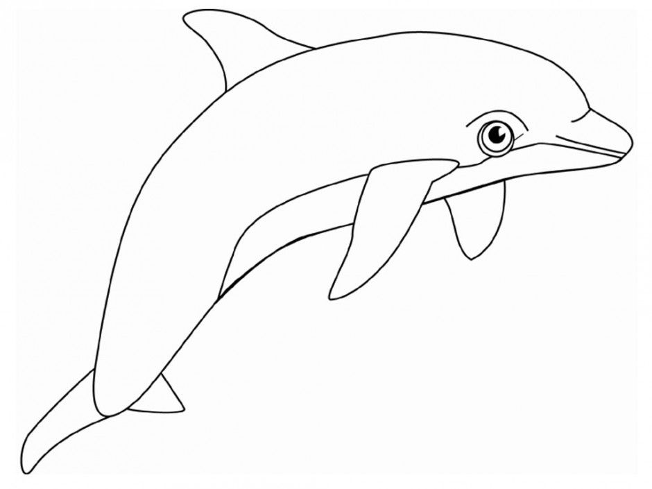 Winter The Dolphin Coloring Pages Winter The Dolphin Coloring 940x705 Winter The Dolphin Coloring Pages Winter The Dolphin Coloring
