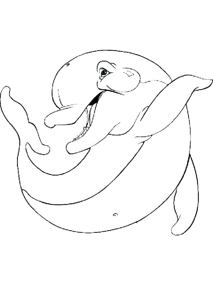 Coloring Page Dolphin Printable Dolphin Coloring Pages Printable 750x1000 Coloring Page Dolphin Printable Dolphin Coloring Pages Printable