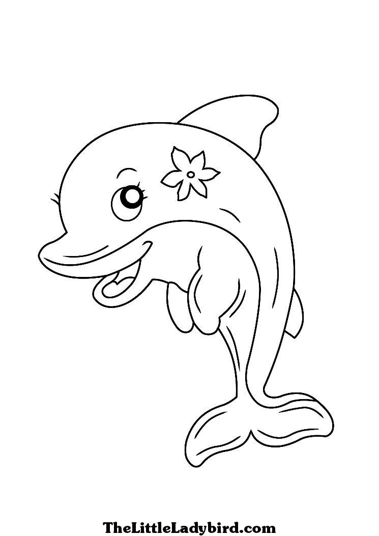Dolphin Coloring Page 745x1053 Dolphin Coloring Page