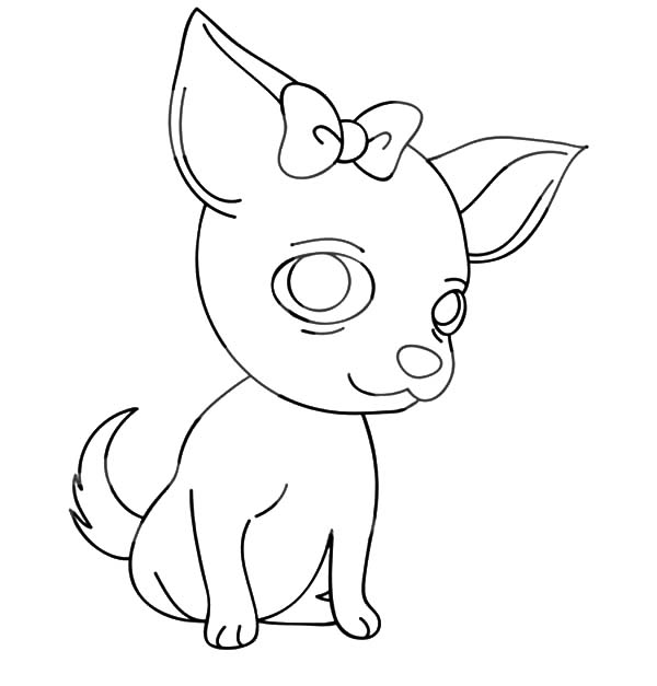 600x627 Chihuahua Dog With A Bow Coloring Pages