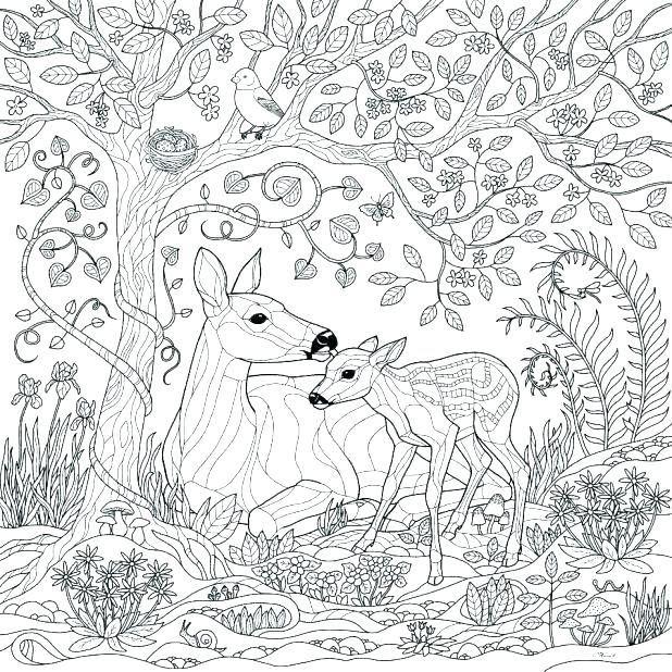 618x618 Hunting Coloring Pages Medium Size Of Hunting Coloring Pages