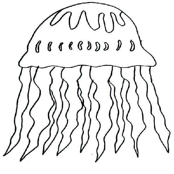 Jellyfish Coloring Pages Page Image Images Coloring Pages Box 600x600 Jellyfish Coloring Pages Page Image Images Coloring Pages Box