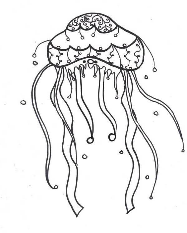Lions Mane Jellyfish Coloring Page 600x744 Lions Mane Jellyfish Coloring Page