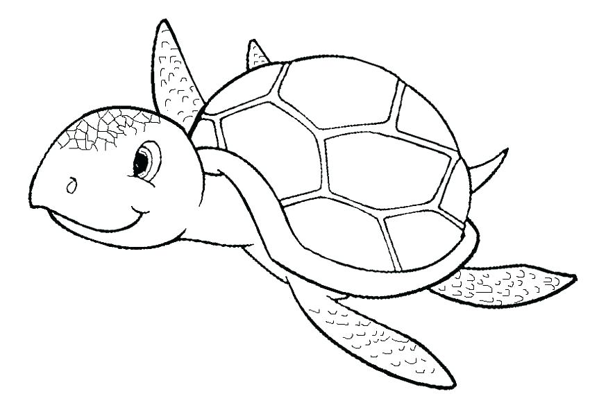850x594 Ninja Turtle Coloring Book Pages Printable Coloring Coloring Page