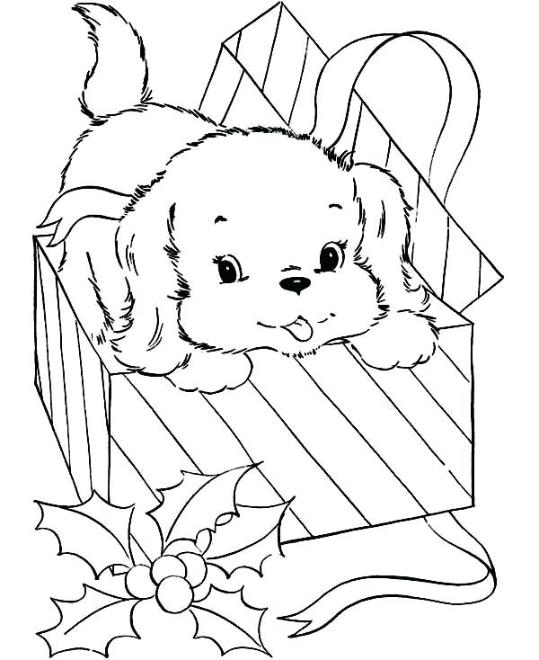 Box Turtle Coloring Page at GetColorings.com | Free printable colorings ...