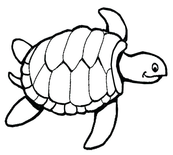 Box Turtle Coloring Page at GetColorings.com | Free printable colorings ...