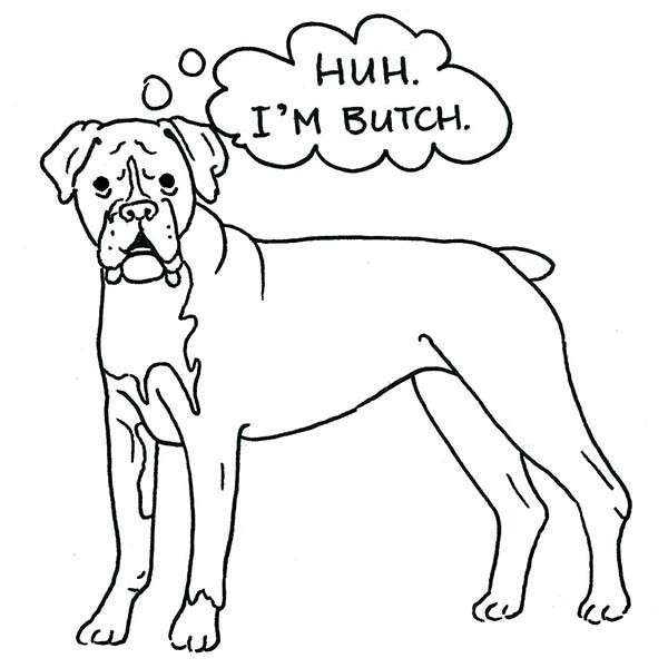 600x600 Butch The Boxer Dog Coloring Pages Best Place To Color