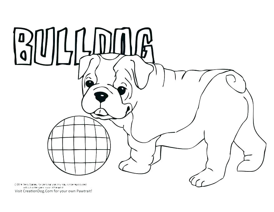 878x679 Color Pages Of Dogs Boxer Dog Coloring Pages Coloring Pages Dogs