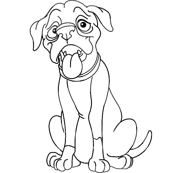 600x569 Thin Boxer Dog Is Hungry Coloring Pages Best Place To Color