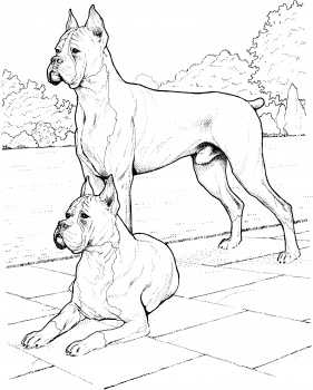 281x350 Two Boxer Dogs Paintings, Paintings And More Paintings