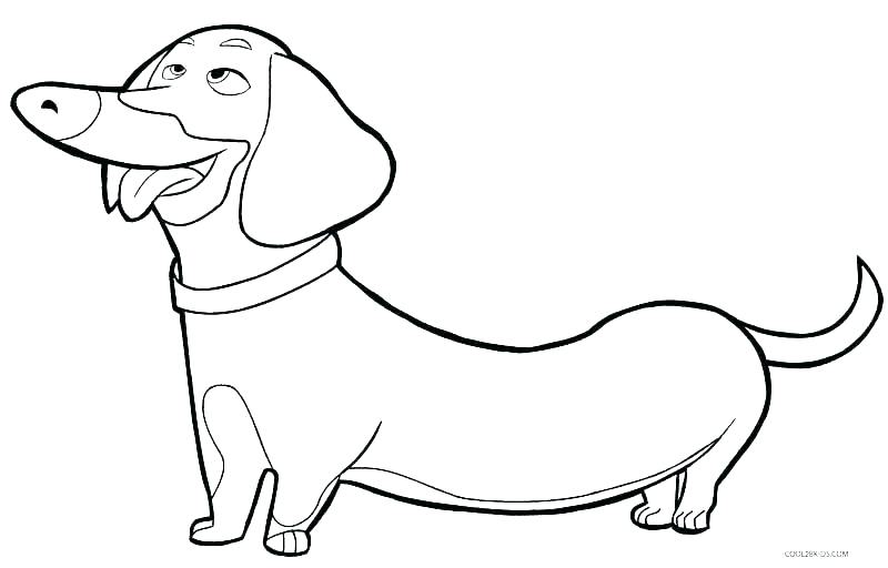 800x512 Boxer Dog Coloring Pages Shippa.co