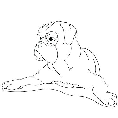 Cute Boxer Coloring Pages Coloring Pages