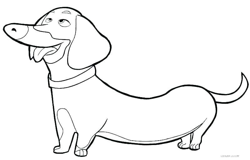 Boxer Coloring Pages Dog Coloring Pages To Print Boxer Puppy 800x512 Boxer Coloring Pages Dog Coloring Pages To Print Boxer Puppy