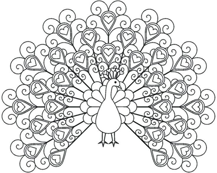 Luxury Printable Coloring Pages For Adults And Flower Coloring 736x588 Luxury Printable Coloring Pages For Adults And Flower Coloring