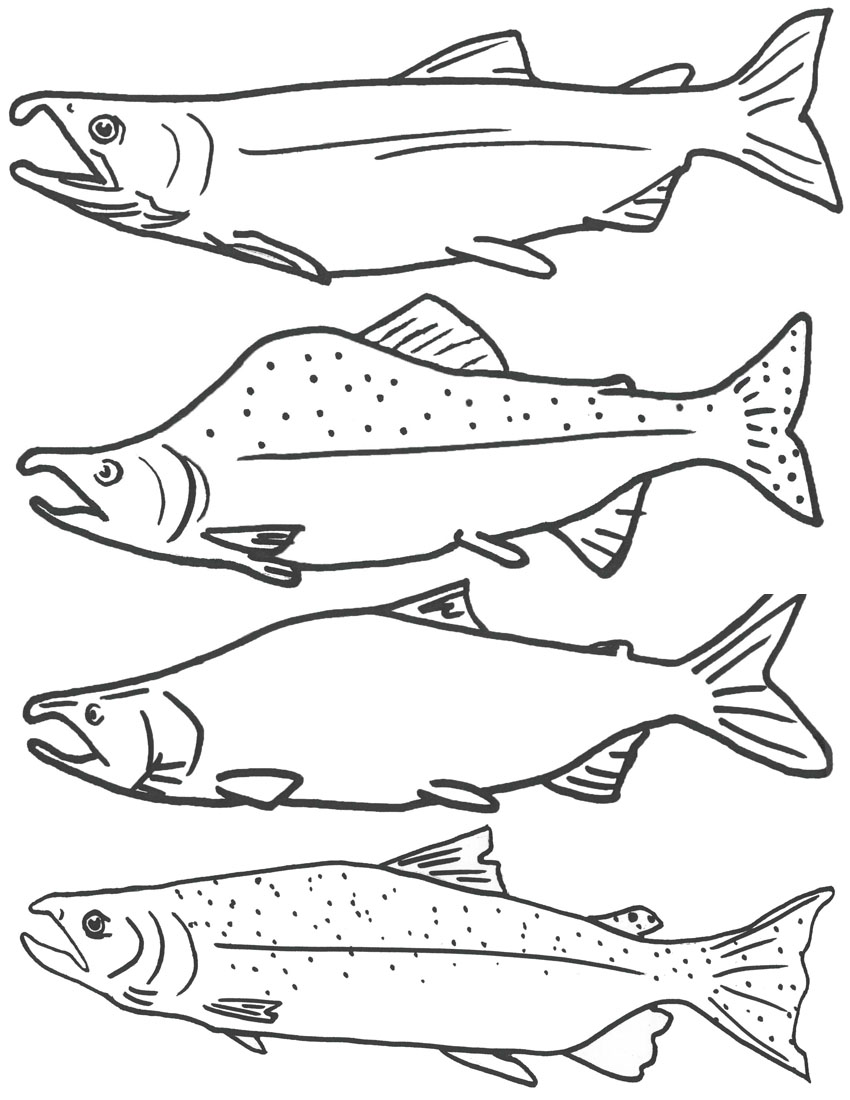 Highest Fish Hooks Coloring Pages To Print Epi 850x1100 Highest Fish Hooks Coloring Pages To Print Epi
