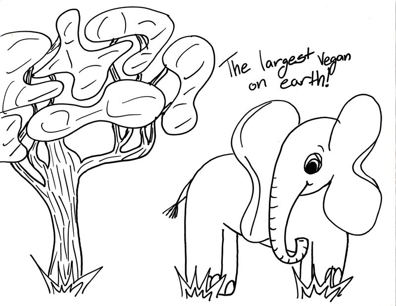 800x618 Coloring Pages Of An Elephant And A Tree For Kids