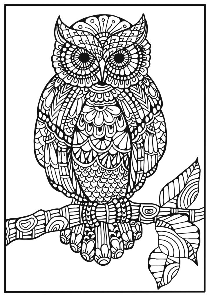1182 Best Coloring Pages Images On Doodles, Tattoo 724x1024 1182 Best Coloring Pages Images On Doodles, Tattoo