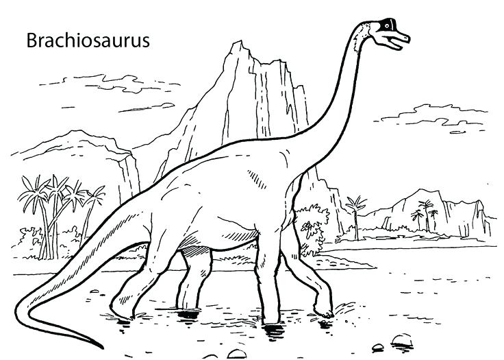 736x525 Brachiosaurus Coloring Page Dinosaur Outline Pencil And In Color
