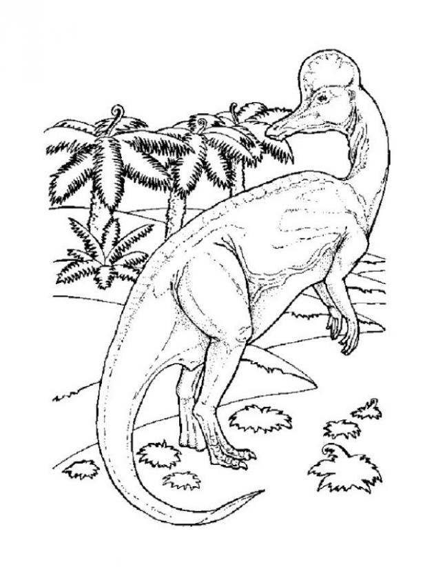 617x822 Brachiosaurus Coloring Pages