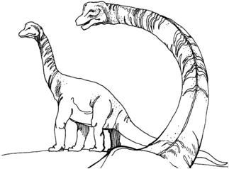 323x238 Transformers Dinobots Coloring Page