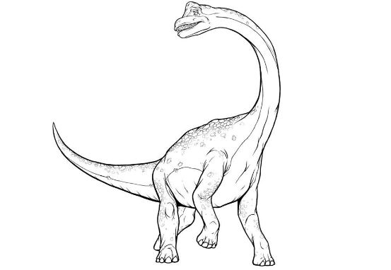 553x382 Brachiosaurus Coloring Page Printable Drawing Board Weekly