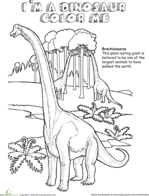 301x396 Brachiosaurus Worksheet