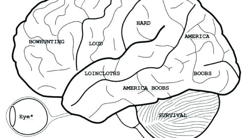 Free Anatomy Coloring Pages 500x280 Free Anatomy Coloring Pages