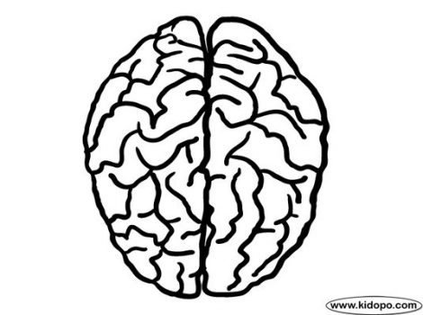 470x350 Draw Brain Coloring Page 17 Additional Line Drawings