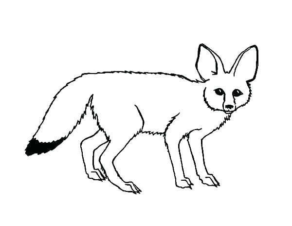 600x464 Brazil Flag Coloring Page Finesse.site