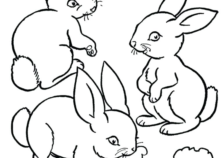 Rabbit Coloring Page Bunny Coloring Page Dreaded Rabbit Pages 768x544 Rabbit Coloring Page Bunny Coloring Page Dreaded Rabbit Pages