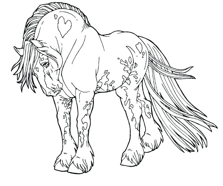 Breyer Coloring Pages Horse Coloring Pages Wonderful World 720x598 Breyer Coloring Pages Horse Coloring Pages Wonderful World