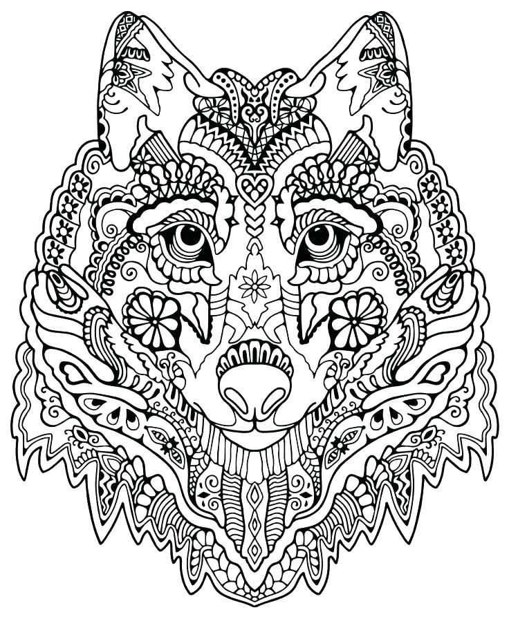 Breyer Horse Coloring Pages Coloring Pages Horse Color Pages Free 736x896 Breyer Horse Coloring Pages Coloring Pages Horse Color Pages Free