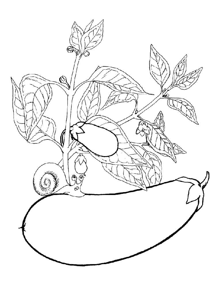 750x1000 Eggplant Coloring Pages. Download And Print Eggplant Coloring Pages