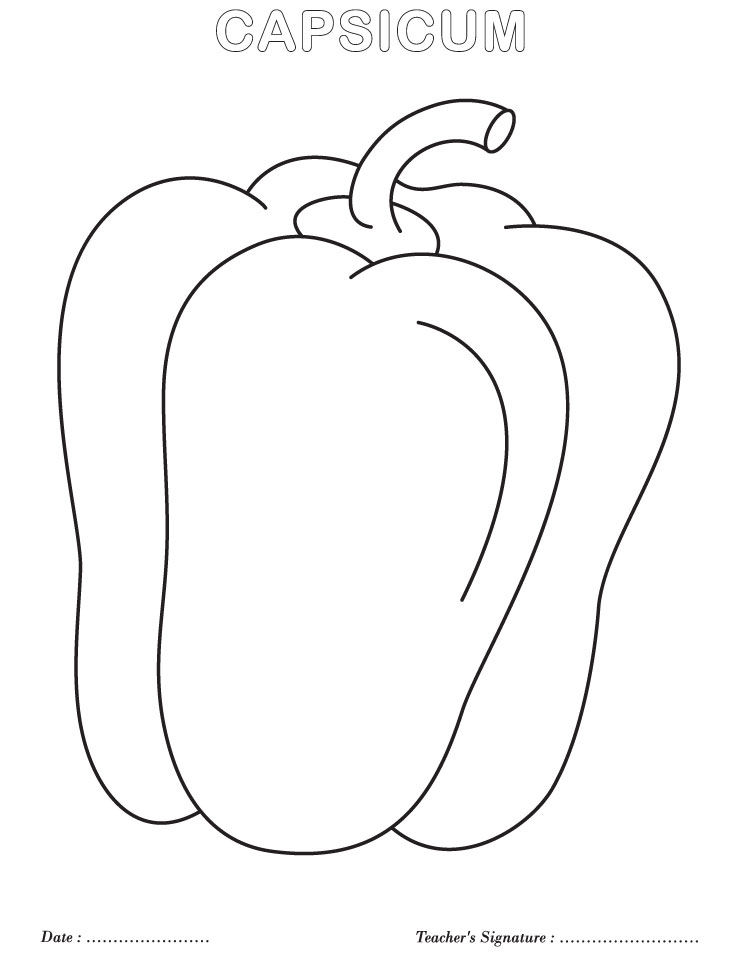 738x954 Vegetable Coloring Pages For Preschool Capsicum Coloring Page