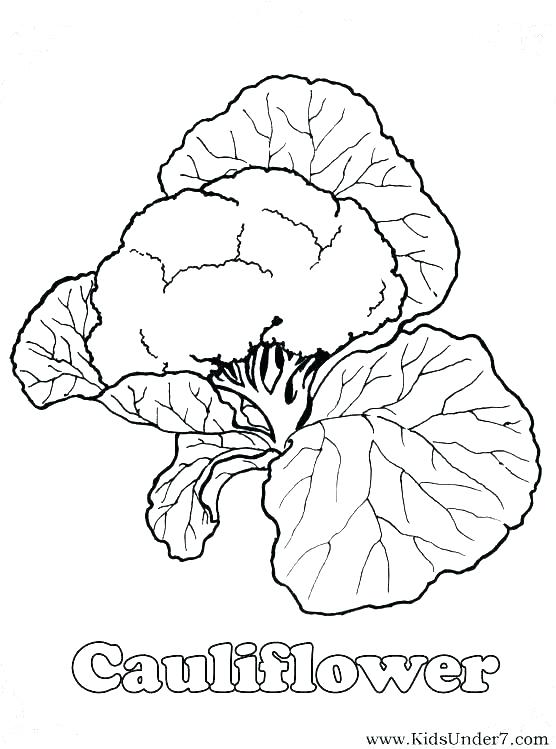 Printabel Vegetable Broccoli Coloring Page 4