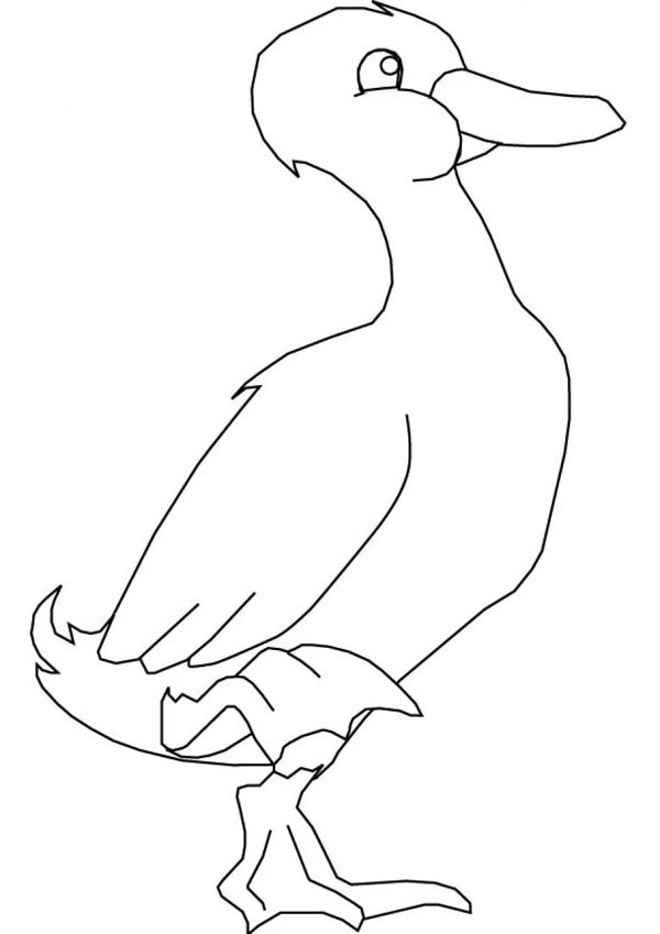 600x849 Goose Stand With One Foot Coloring Page