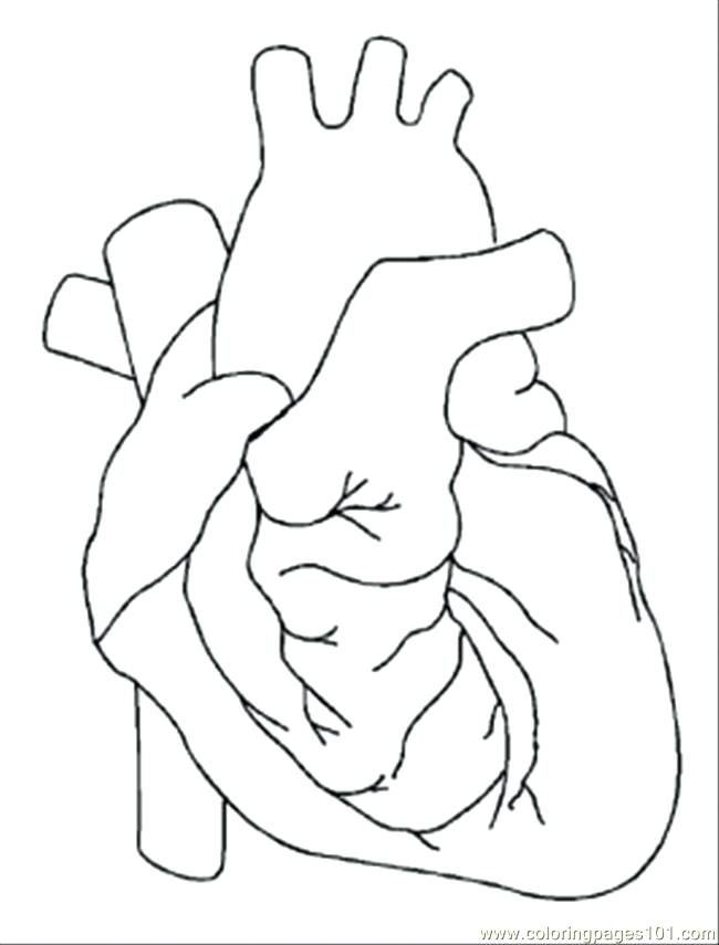 650x855 And Heart Wings Tattoo Designs Best Tattoos Designs Heart Pictures