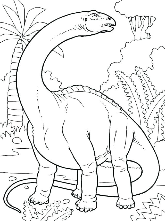 640x855 Brontosaurus Coloring Page Pterodactyl Coloring Page Pterodactyl