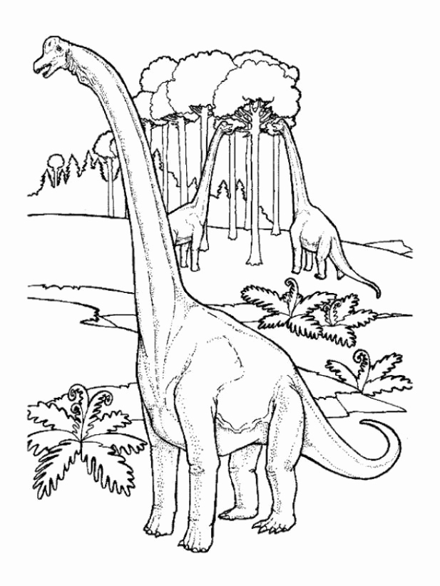 617x822 Pretty Dino Dan Printable Coloring Pages Contemporary Wordpress