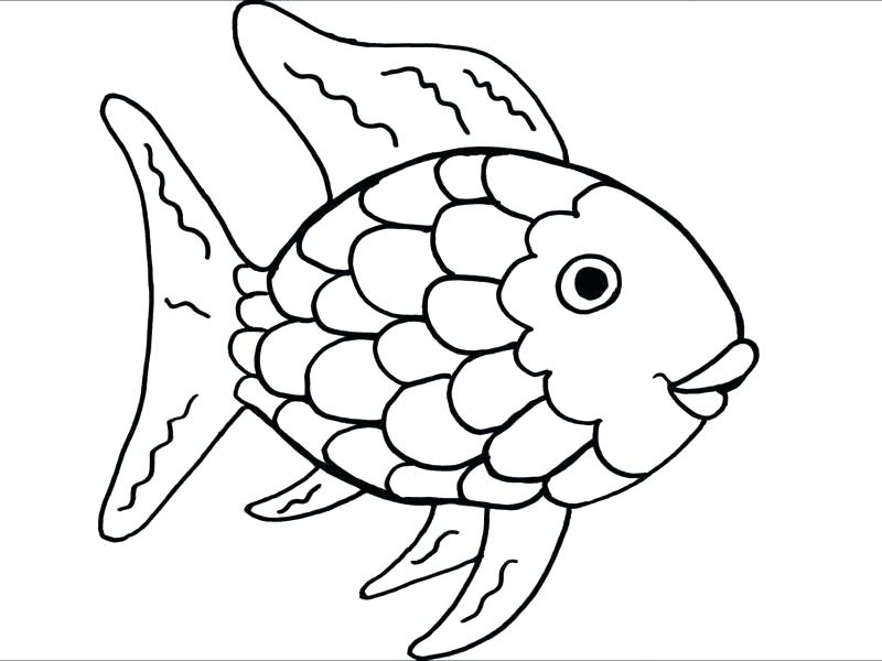 Rainbow Trout Coloring Page Coloring Page Of A Rainbow Pretty 800x600 Rainbow Trout Coloring Page Coloring Page Of A Rainbow Pretty