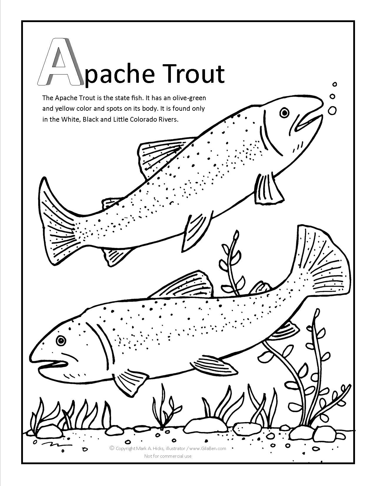 Trout Coloring Page Get Bubbles 1275x1650 Trout Coloring Page Get Bubbles